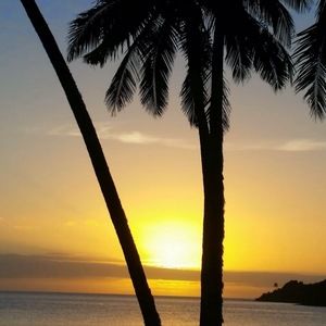 Meet your Posher, Mollie